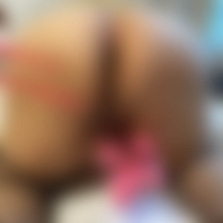 後ろから入れて