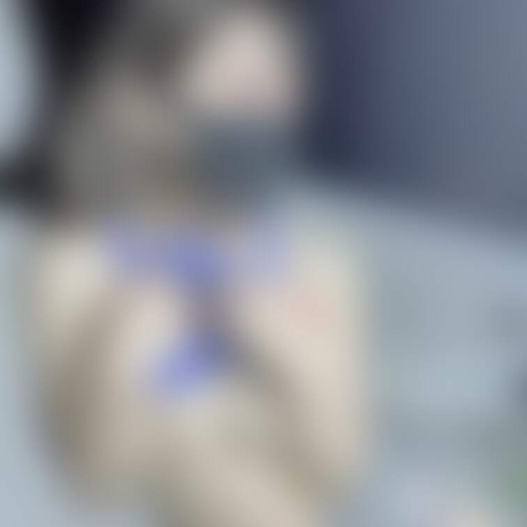 
恥ずかしぃけど襲ってってお願いしたら
襲ってくれる？🥺
