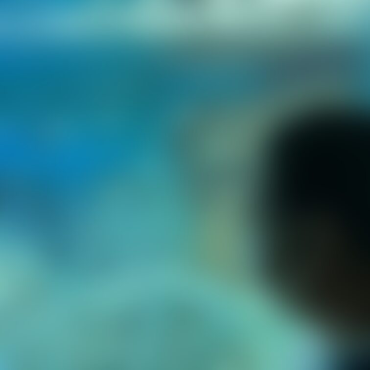 水族館楽しかったです🐟🐠🐡