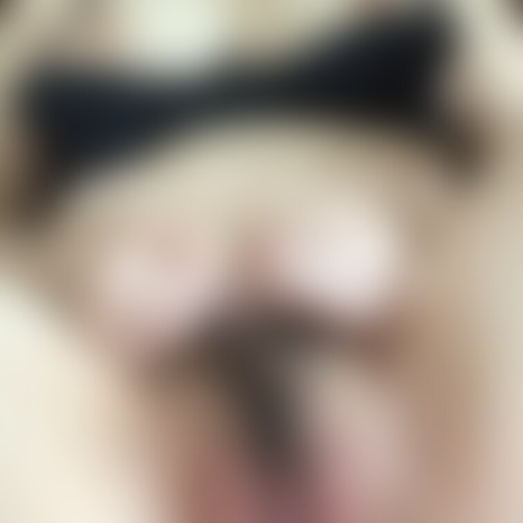 たくさん出してもらったからそのままパンツ履いて出勤します〜(ฅ`･ω･´)っ=会社で精子臭バレたらどうしよう…
