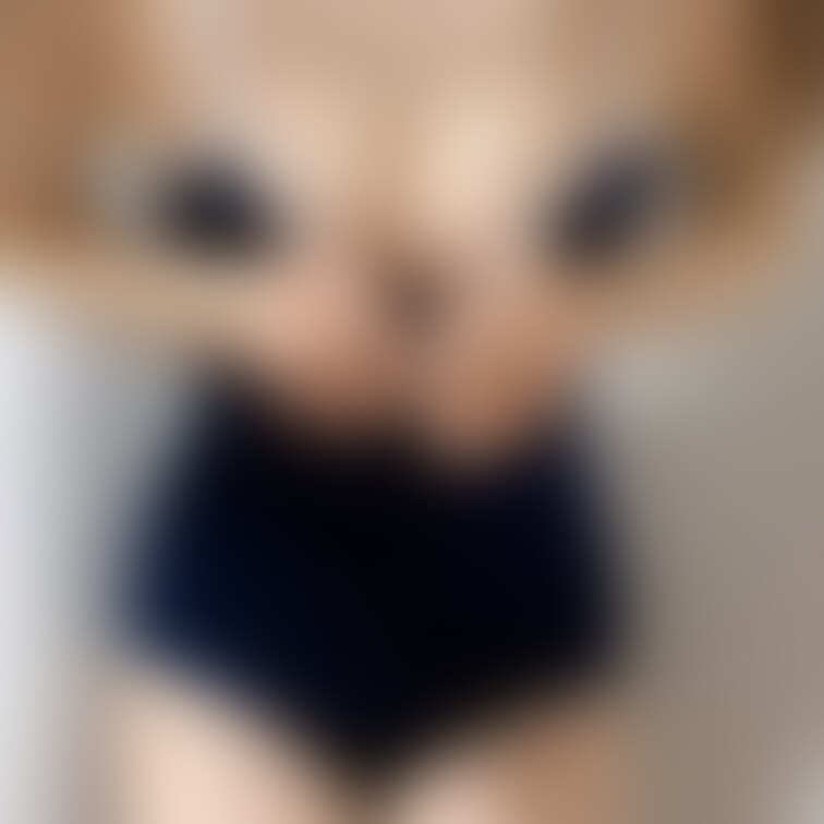サービスすぎる大胆ショットです

どうですか？(⑉• •⑉)❤︎



好きになってくれたらうれしいです！