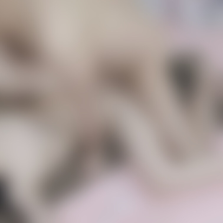 ハメ撮り画像どうぞ！プラン内ではほぼ顔出しです★