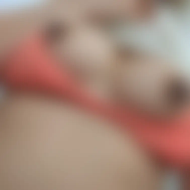 むしゃぶりつく？