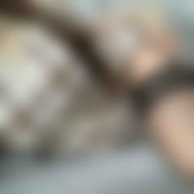 みるくいろいろ💓