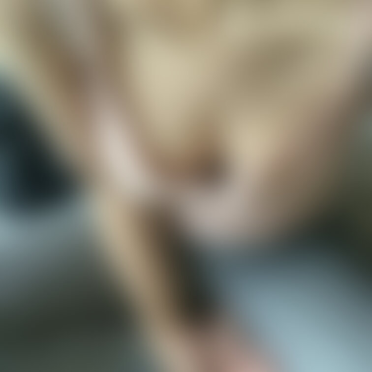 麦も来た🐈💕