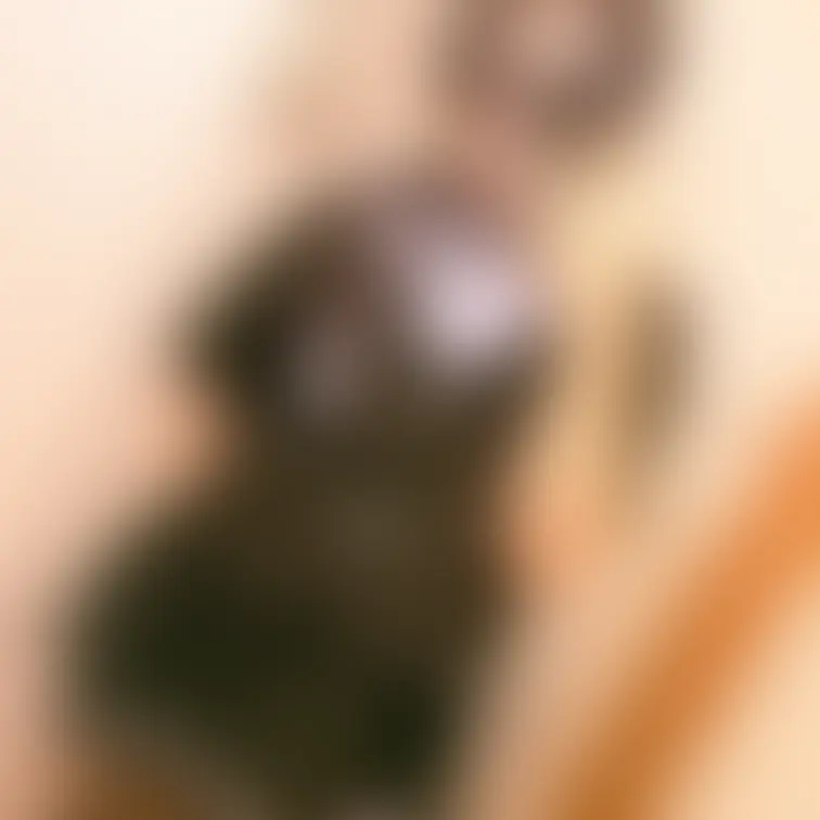 見たい人だけ