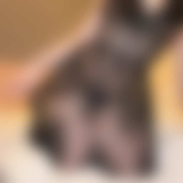 私とどんなことしたい？☺️
メッセージで教えて♡