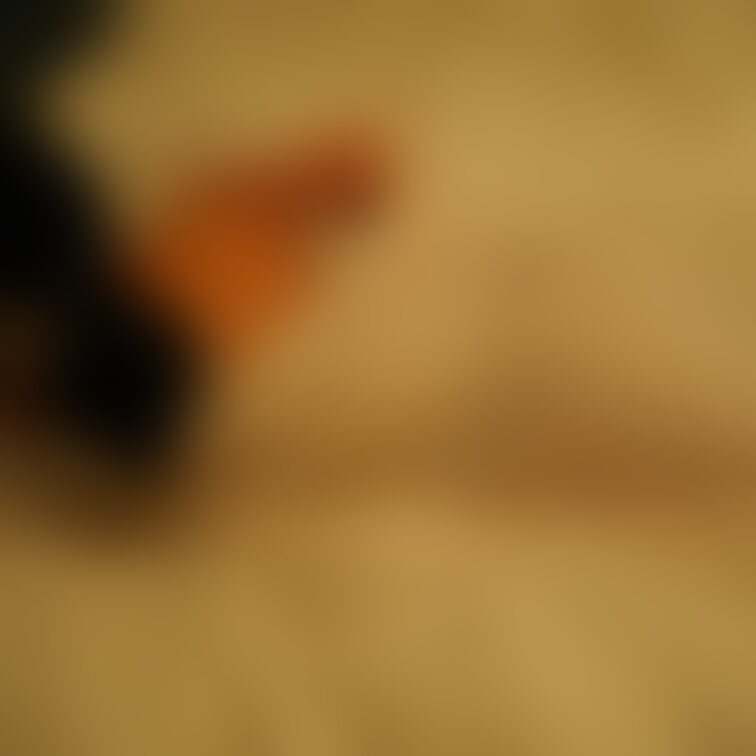 弥生さんのお尻三連発。今月中にも新作動画撮影する予定です。また1/25の滋賀県混浴ツアーも迫ってます。そちらはX「関西混
