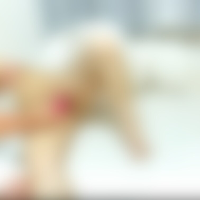 おもちゃでいかされた動画です♡
ちょっとこわかったけど、気持ち良かった♡