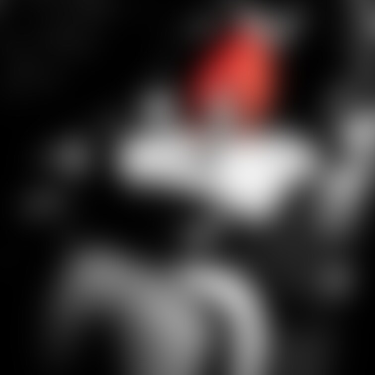 2024「Hanako Birthday Party」、並びに「巨女写真展〜voluptuous women Photo