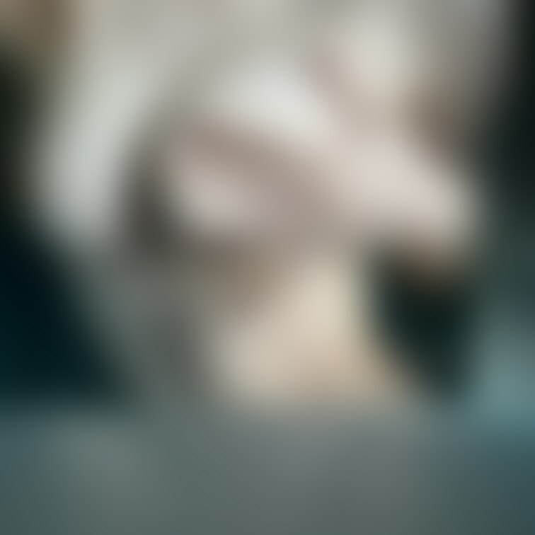 生おっぱい