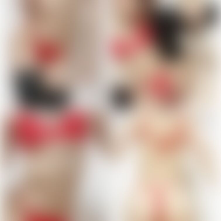 ちらっと🫣♥️

一緒にトレーニング会員様は12/31まで、
これ以外の沢山のショット📸💞
動画にしたもの見れち