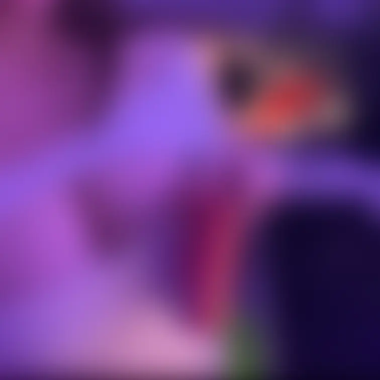 配信の裏2