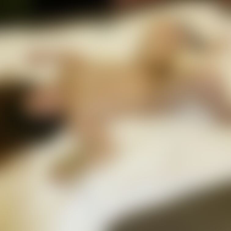 今日は朝7時から男性とホテルに行ってきました。

1人音信不通で最終的に5人になってしまったけど、予定してた10回よ