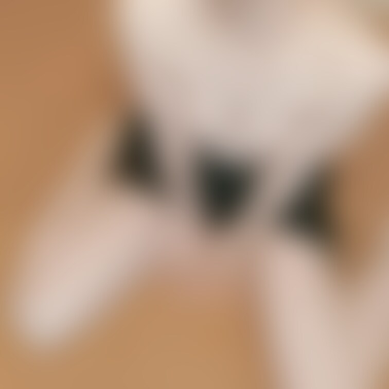 上から。。。
他投稿もの