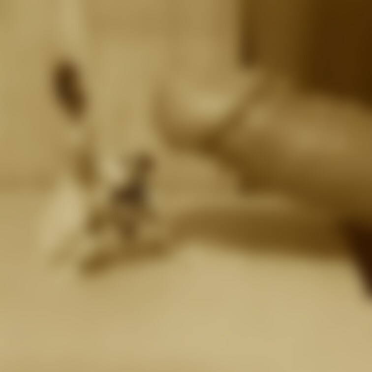 友人に勧められ撮影してみました。