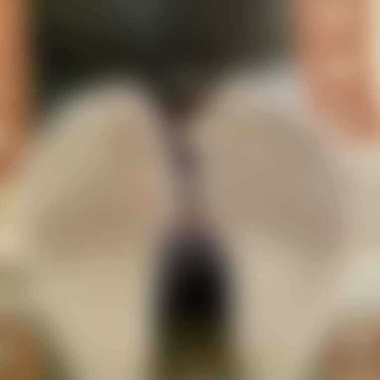 【女子大生】ダンスサークル所属 のあちゃん🦊①
 
 足のサイズ:23cm