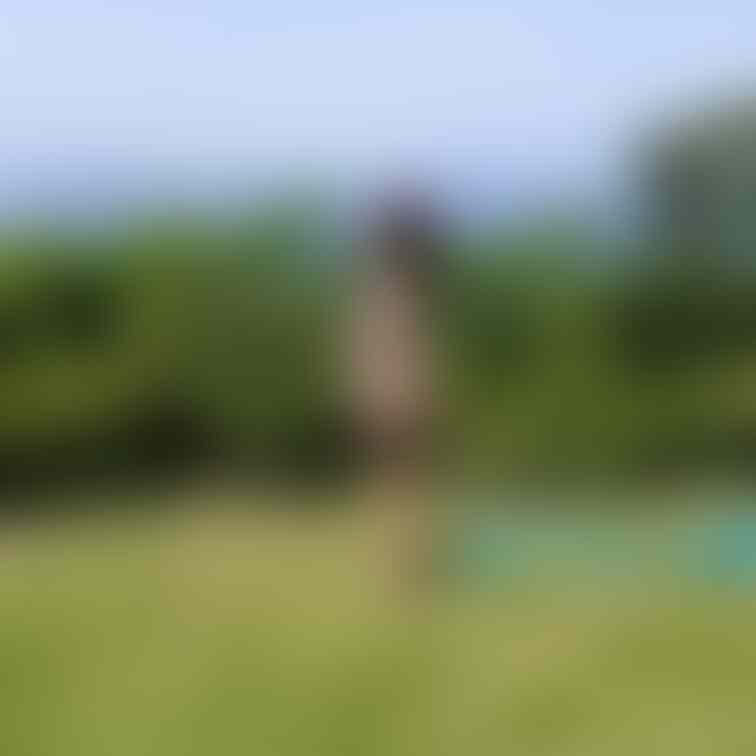 過去の削除写真の再投稿です。（2023年9月投稿）
ラピュタの世界で・・・⑧