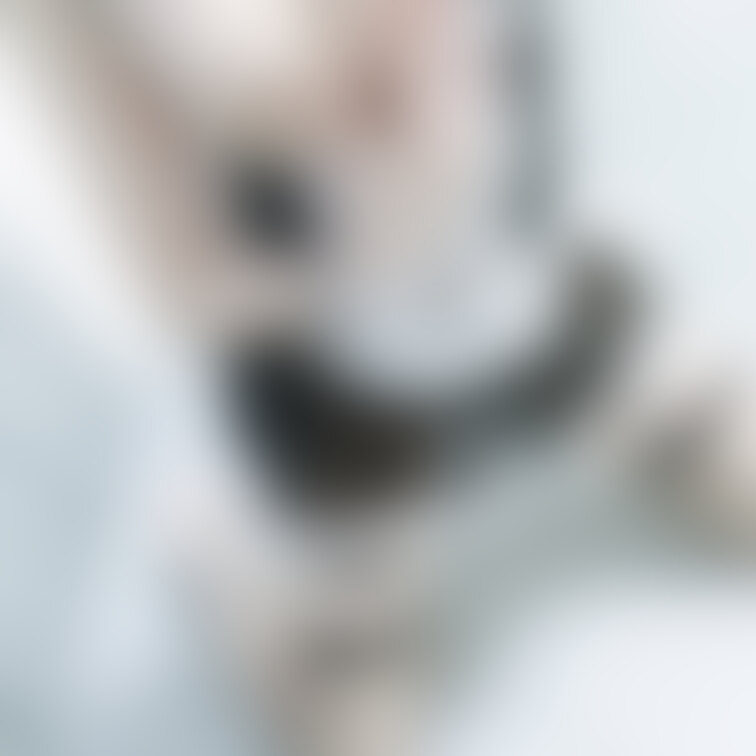 メイドさん