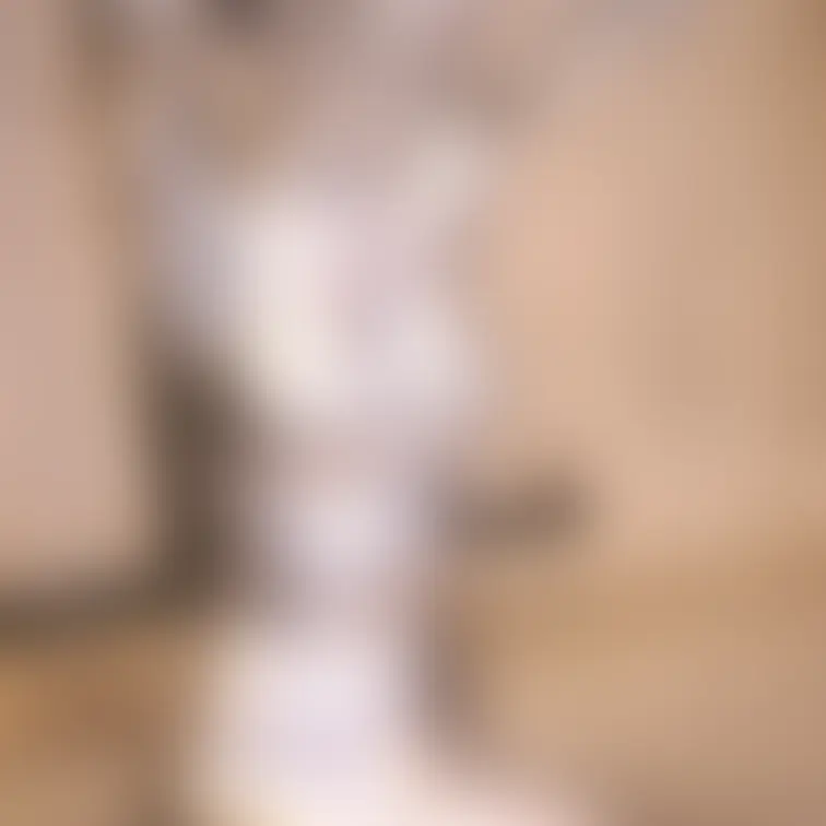 【あの超かわいいアイドル級美女のセクシー銀粉メッシー】
 これまで数回色々なメッシーに挑戦してきてくれたアイドル級の美