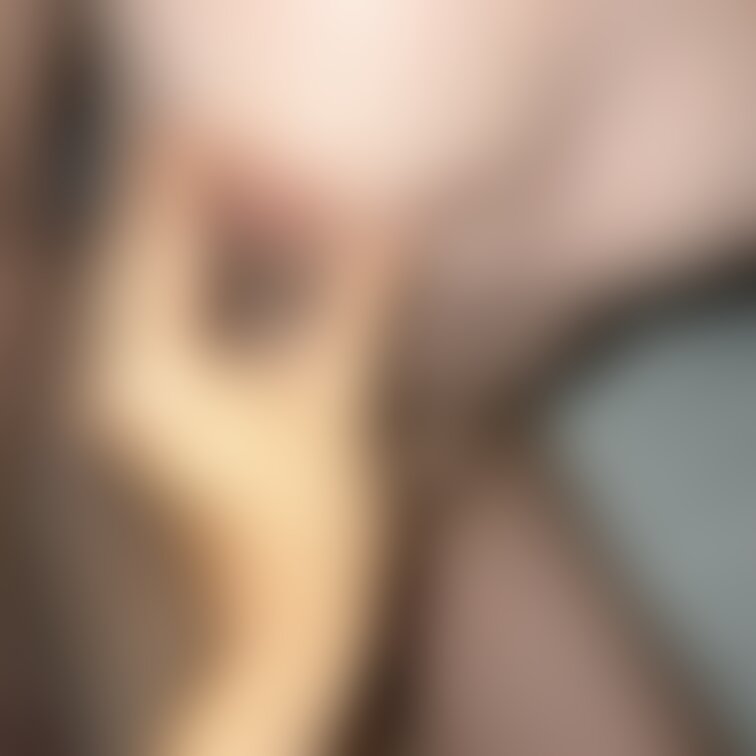 はめ