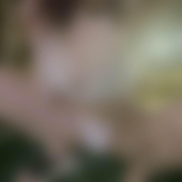 露出写メのお決まりポーズです🐶