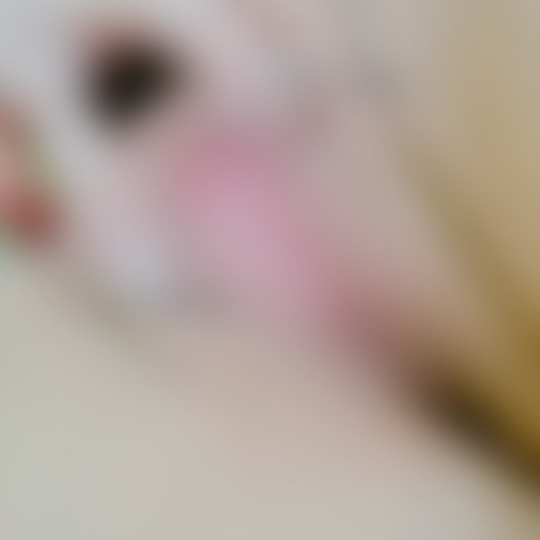 まいまい応援プラン📣様、ワンコインプラン様限定

くぱぁ❤️