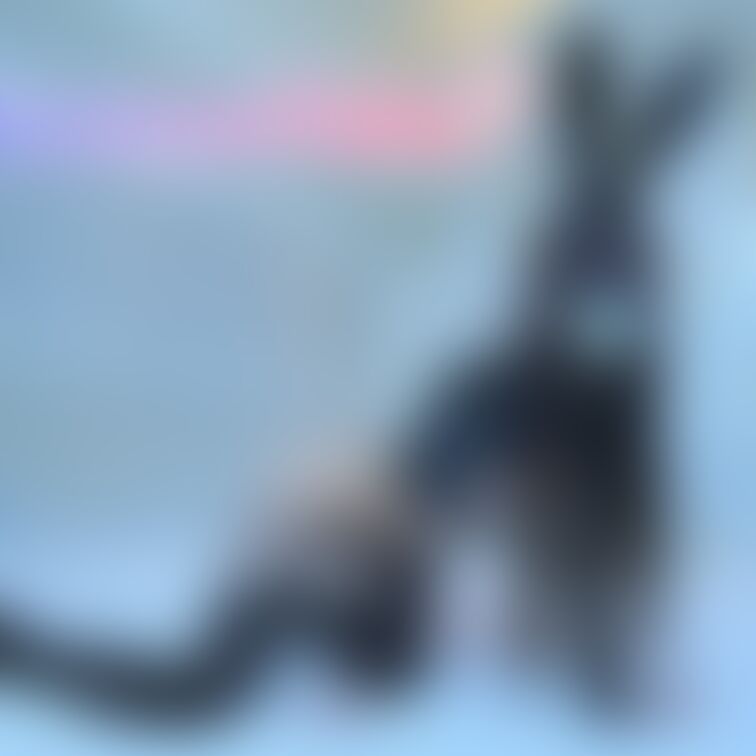 現状のピアスを逆バニー衣装でお伝え!