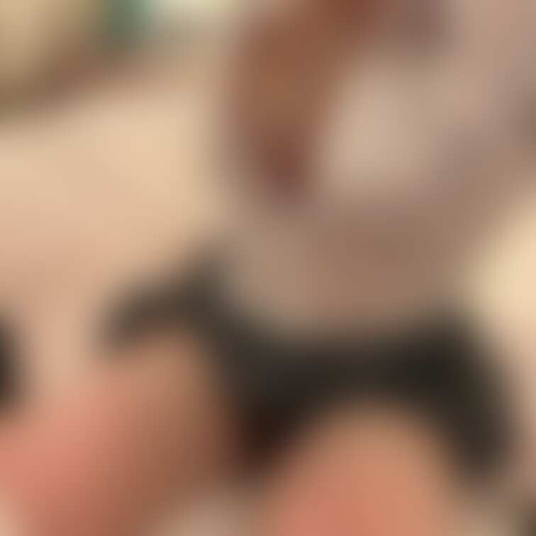 制服姿の◯なにー見たい人ー？🤭？
