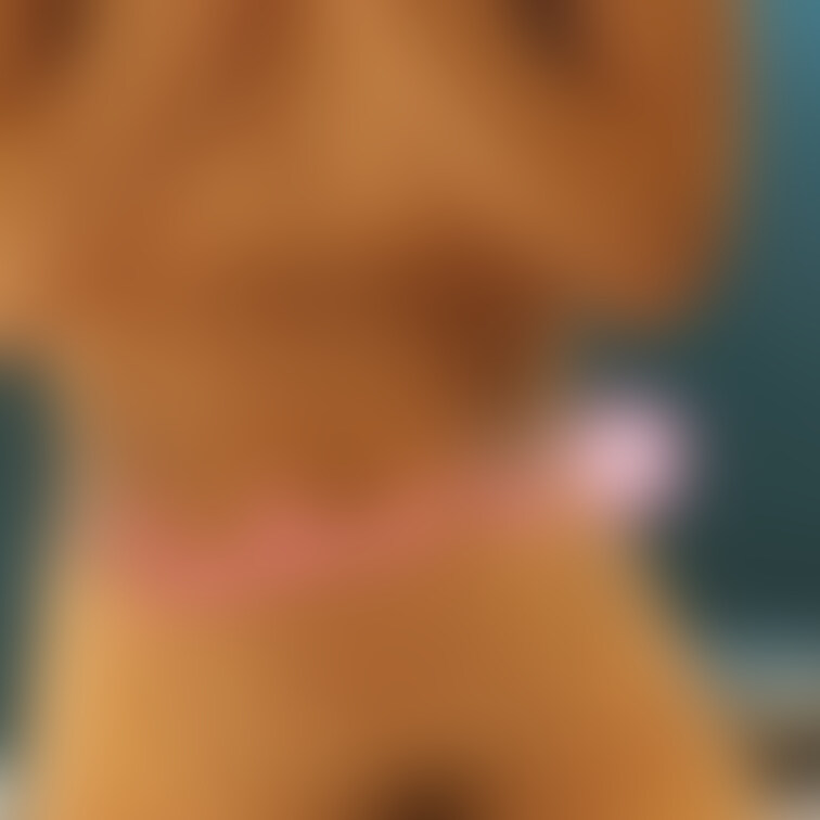 全裸で立つの恥ずかしい…💦

見てないで早くギュってしてください💕