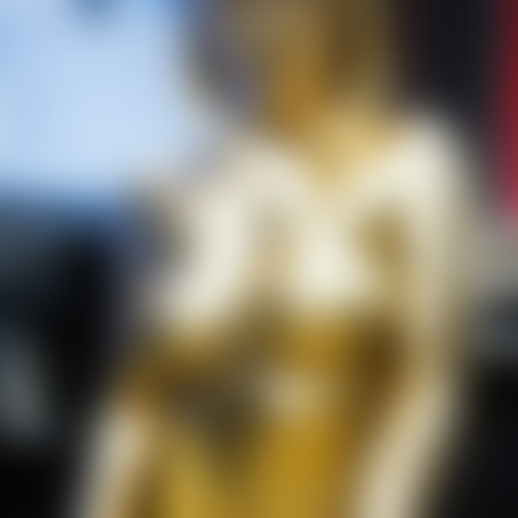 ヌード金粉プログラマー / Golden bodypainted programmar (part 1)