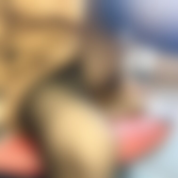 たまには脚あげないと、午後には脚がパンパン💦