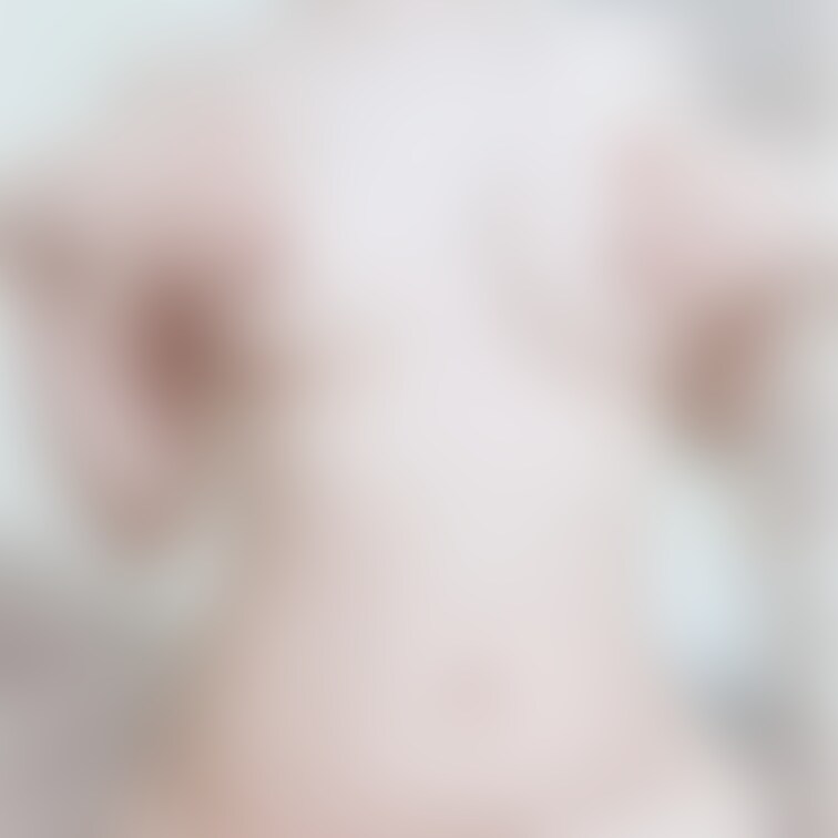 Twitterに投稿した写真です🫶