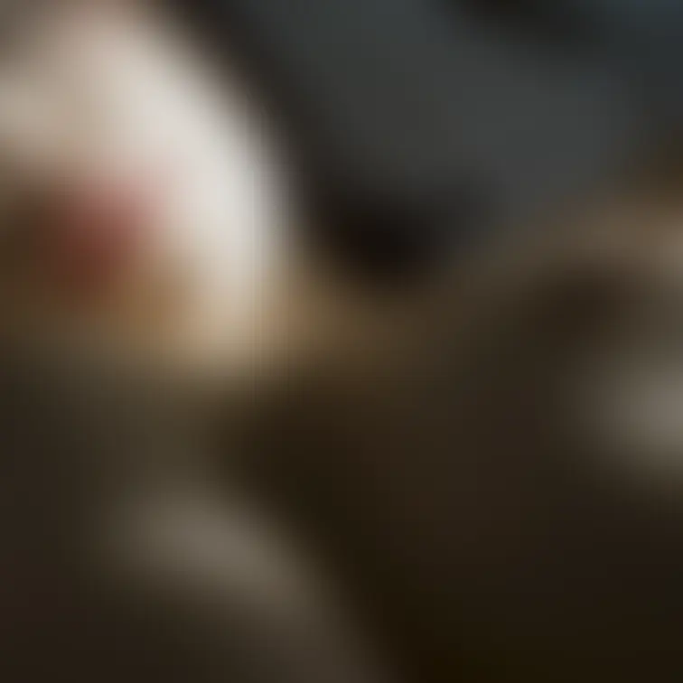 こんな感じの写真集作ろうと思います♡
みてもらえるかな、、？

実は撮った場所は、、♡