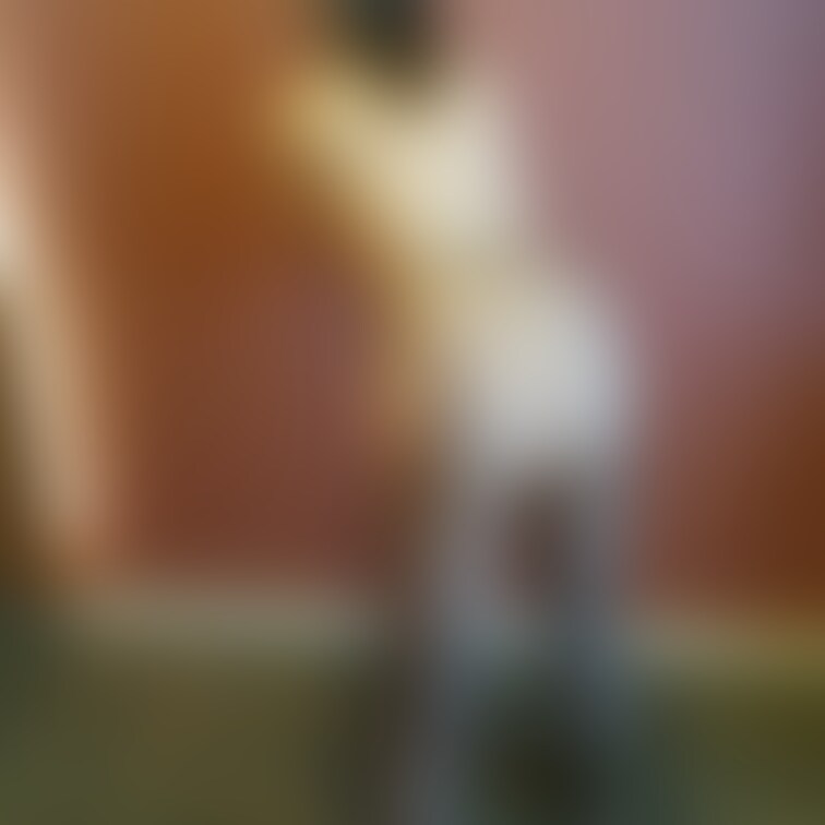 右上の【♡】を押してから見て欲しいです❤️

お尻好きかな？♡