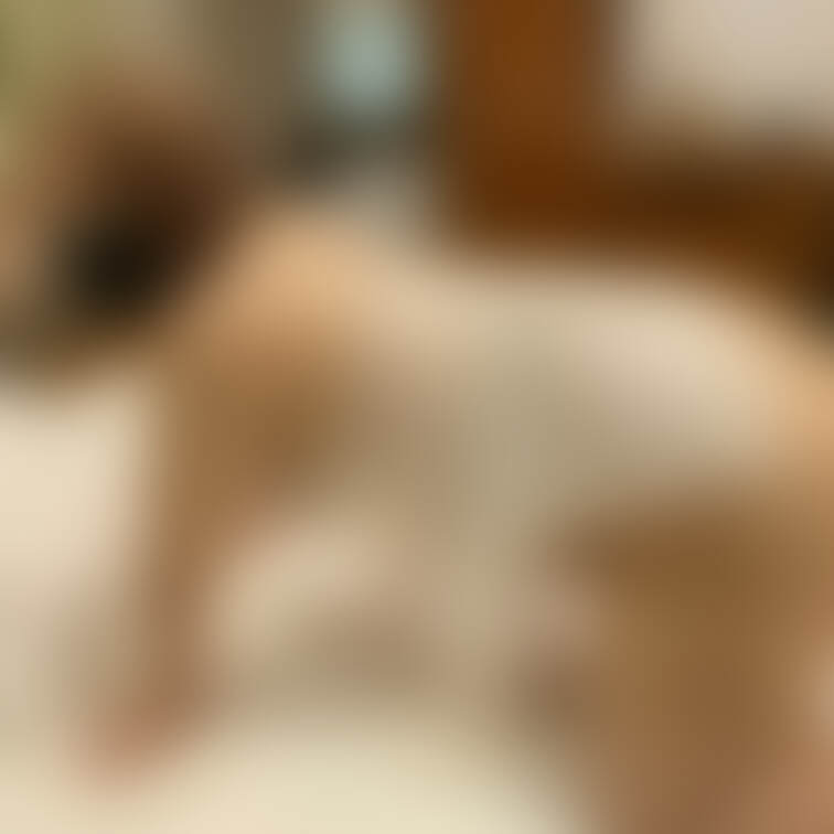 元ヤンキー妊婦みくちゃん（臨月）