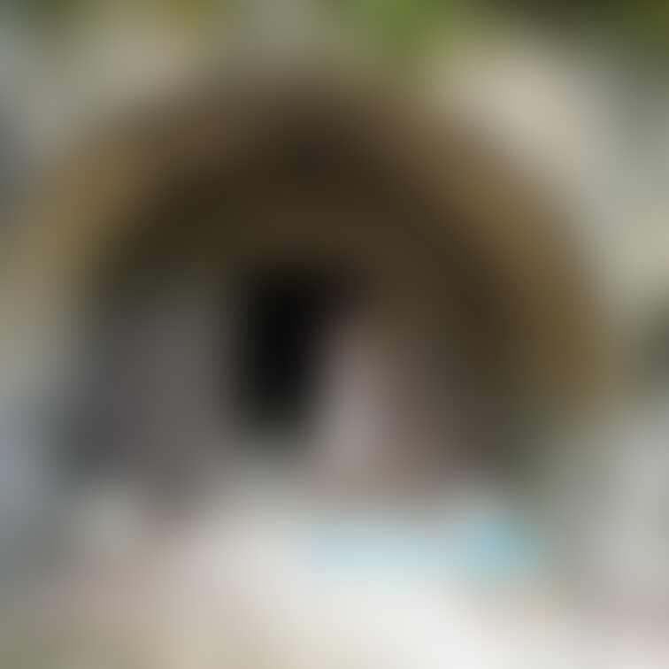 過去の削除写真の再投稿です。（2023年9月投稿）
ラピュタの世界で・・・①