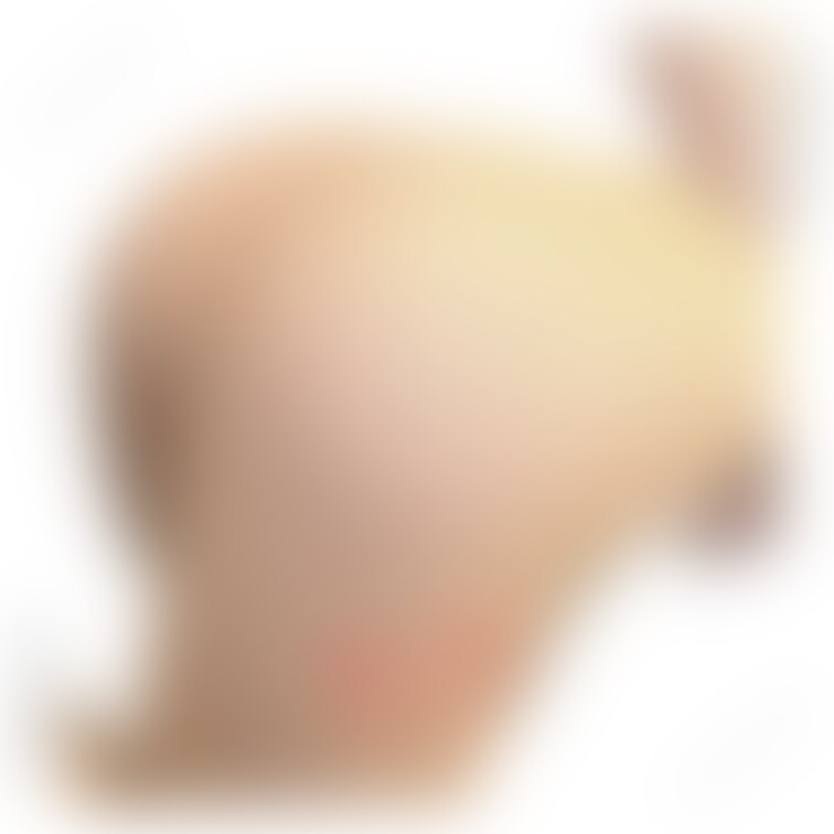 【基本的にプラン加入者様にTwitterなどなどで直接動画送っちゃったりしているのだ🐰♡】
DMくれた人じゃないとTw