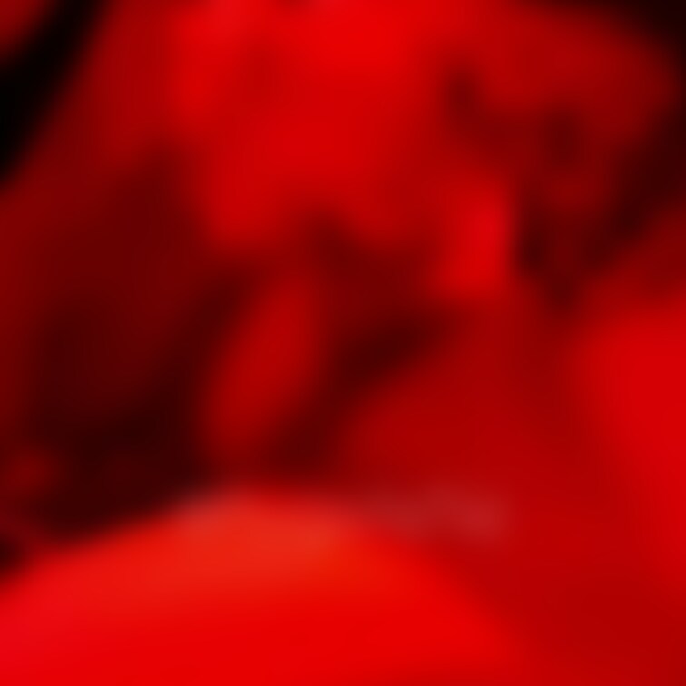 おちん◯んを見させてもらうだけって言ってたのに、
気づいたらお口の中におち◯ちんが入ってて
口の中の性感帯に当てたり