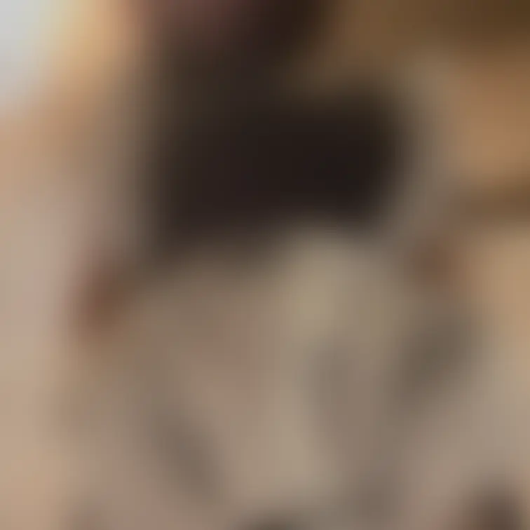 【メイドのパンチラ】

ご主人様に見ていただきたくて、えっちな下着履いてきました。そして、ムラムラして、、パンチラ風