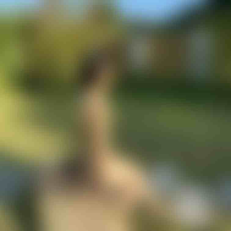 第3弾
スマホで撮影した写真です。
次は真正面での写真をUPしますね☺️✨