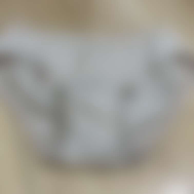 過去pic