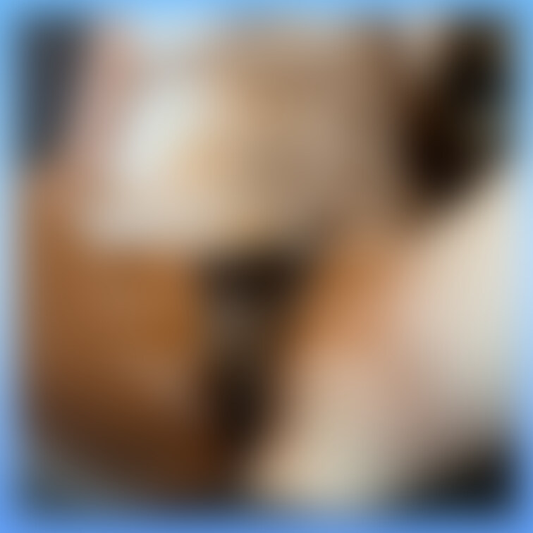 動画はこちらから💁🏻‍♀️
https://myfans.jp/posts/30ee8950-1340-47dc-98