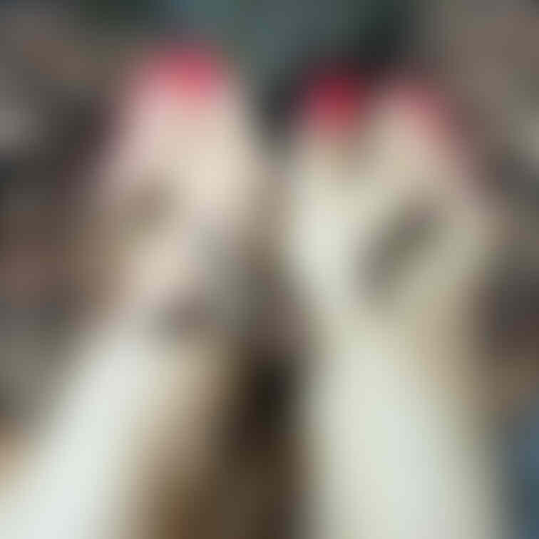 汚れた足裏　森林浴