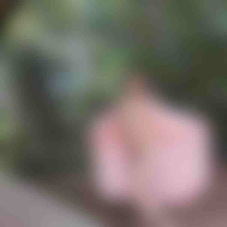 開放的になり過ぎ？

大胆にオープン✌️