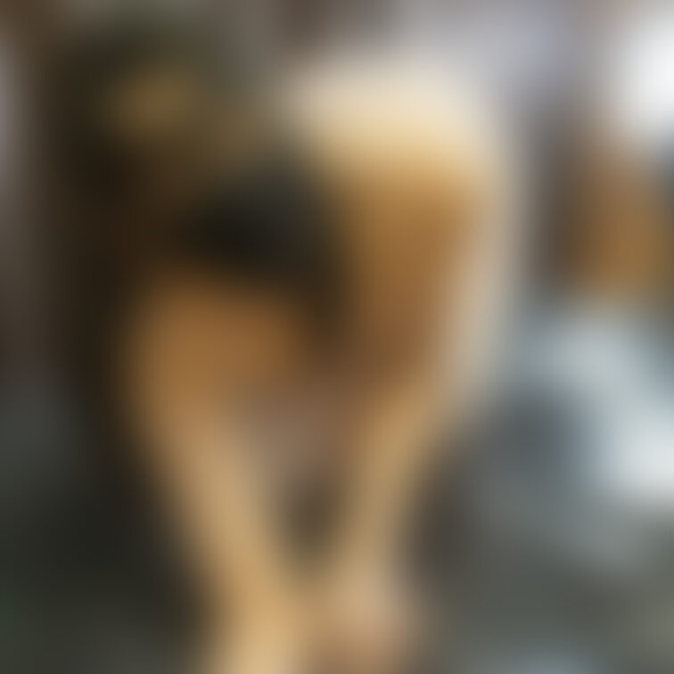 来月あたり紗子さんの新作をお披露目できそうです
※※※※※※※※※※※※※※※※※※※※※※※※※※※※※※※※※※※