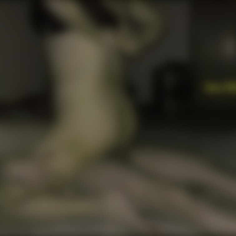 お早う御座います🖐️
Twitterでバンされたアカウントから😆 
暗闇シリーズ🧐第11段😅
第13回目です🖐️