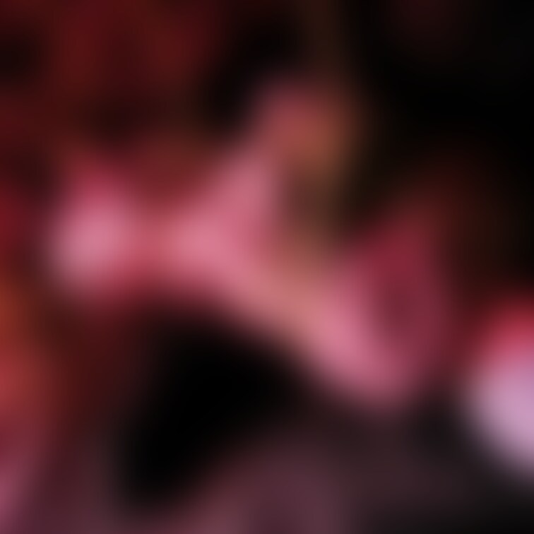 リベンジ予定その4