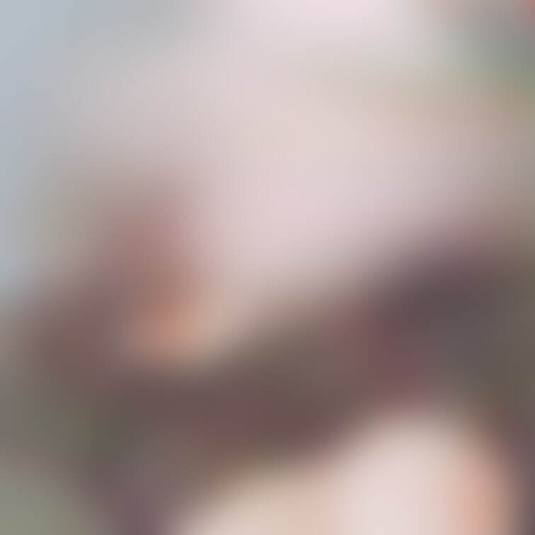 夏パイ
