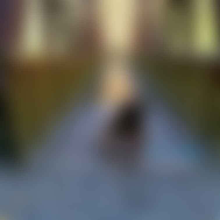 下着姿で首輪をした人妻愛奴はどうですか？
